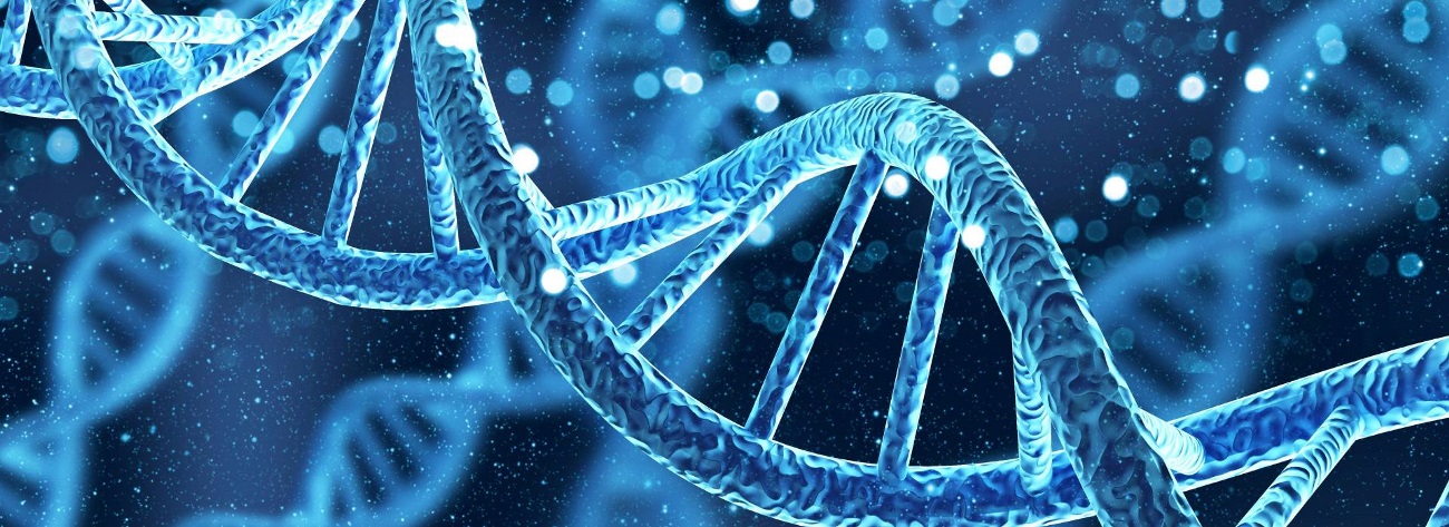 DNA gene molecule structure